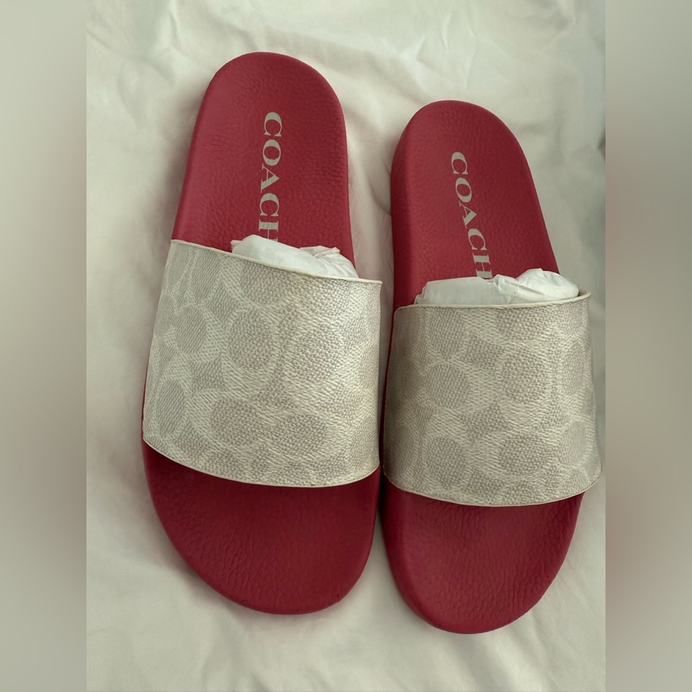 Coach Sport Slides in Signature Canvas
